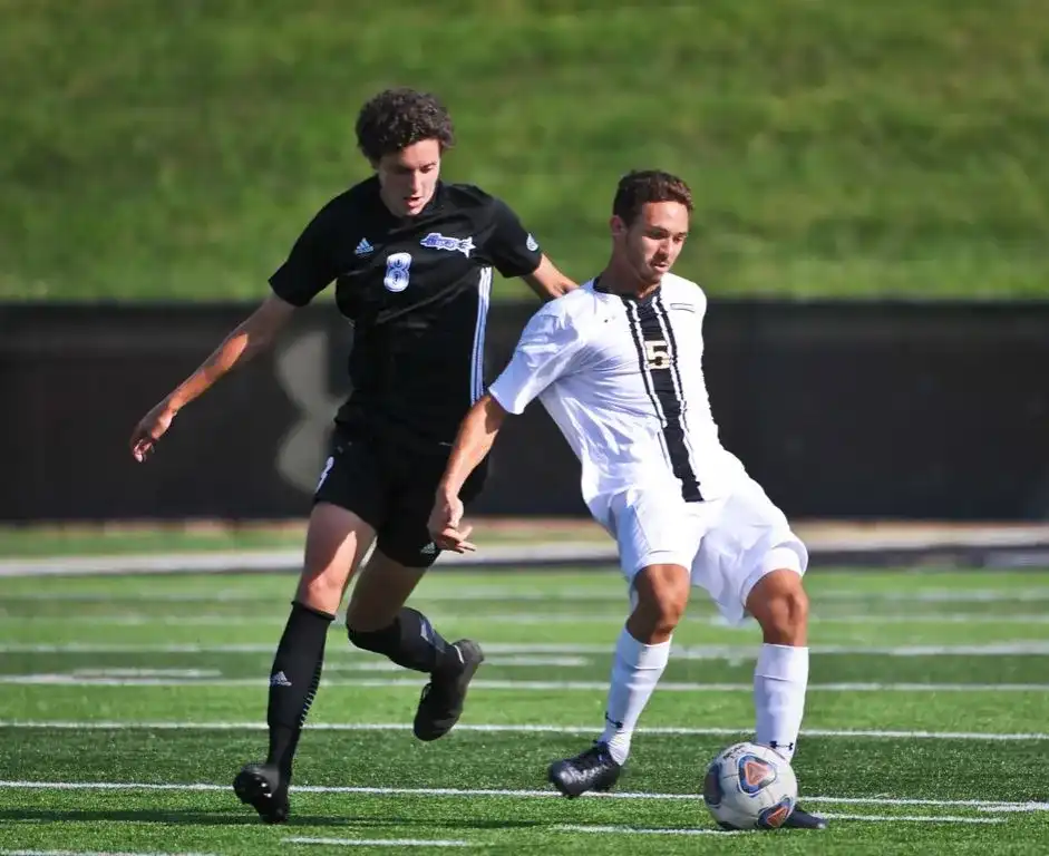 Lindenwood Lions - 2018 - 2019 - 2
